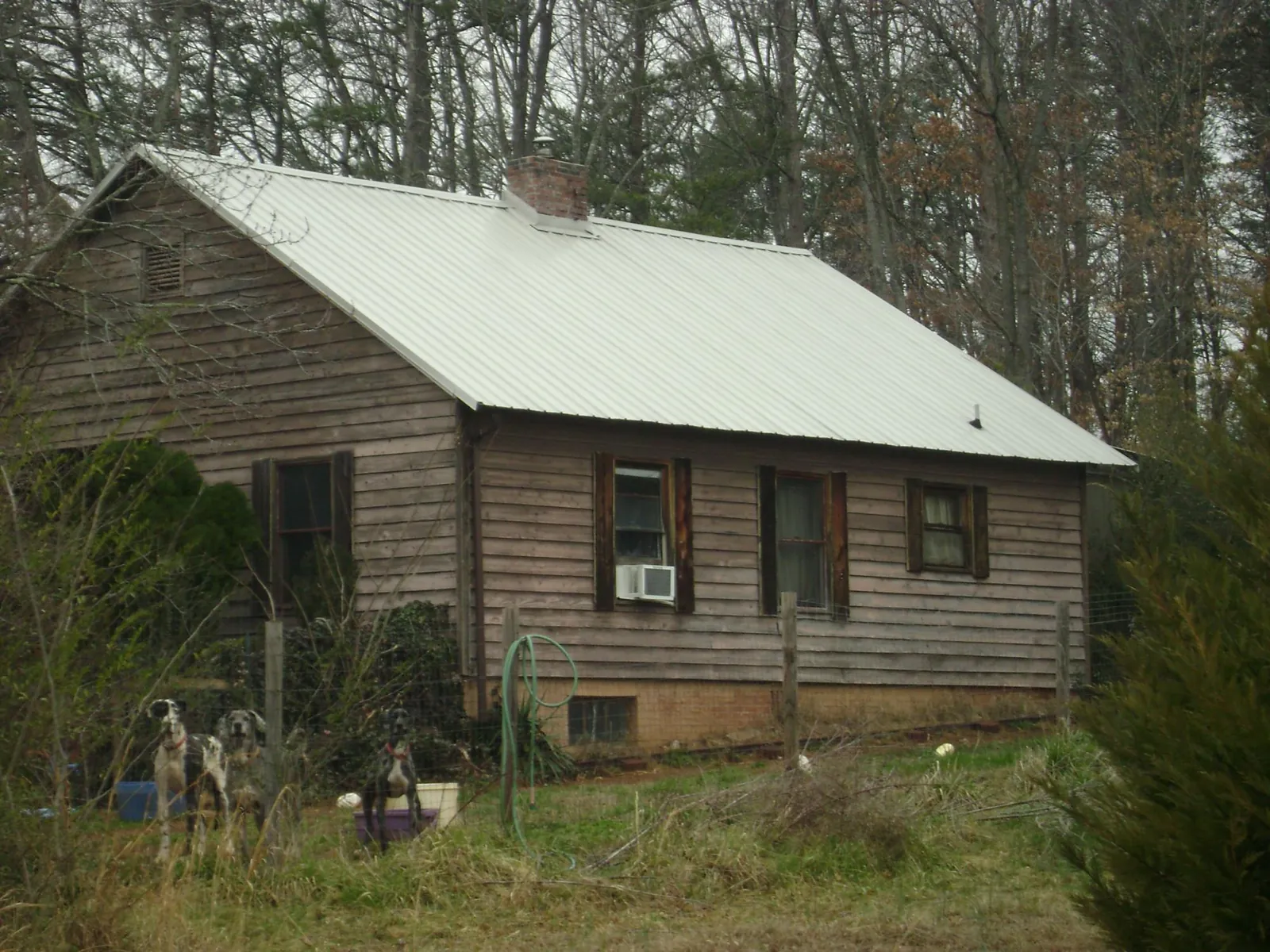 White metal roof on an old wood sided farmhouse, from a Asphalt Shingle Roof Repair job in Pauline